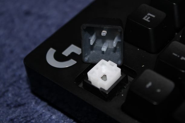 Udflugt overdrivelse mindre Romer G Switches | Everything You Need to Know - July 4, 2023 Keyboard Kings