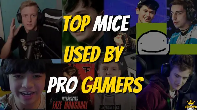 What Mouse Do the Pros Use