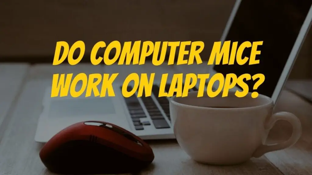 Do Computer Mice Work on Laptops?