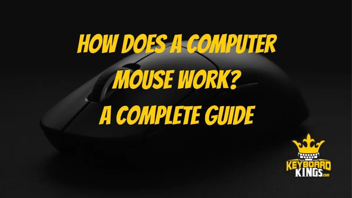 How Does a Computer Mouse Work? A Complete Guide June 8, 2024