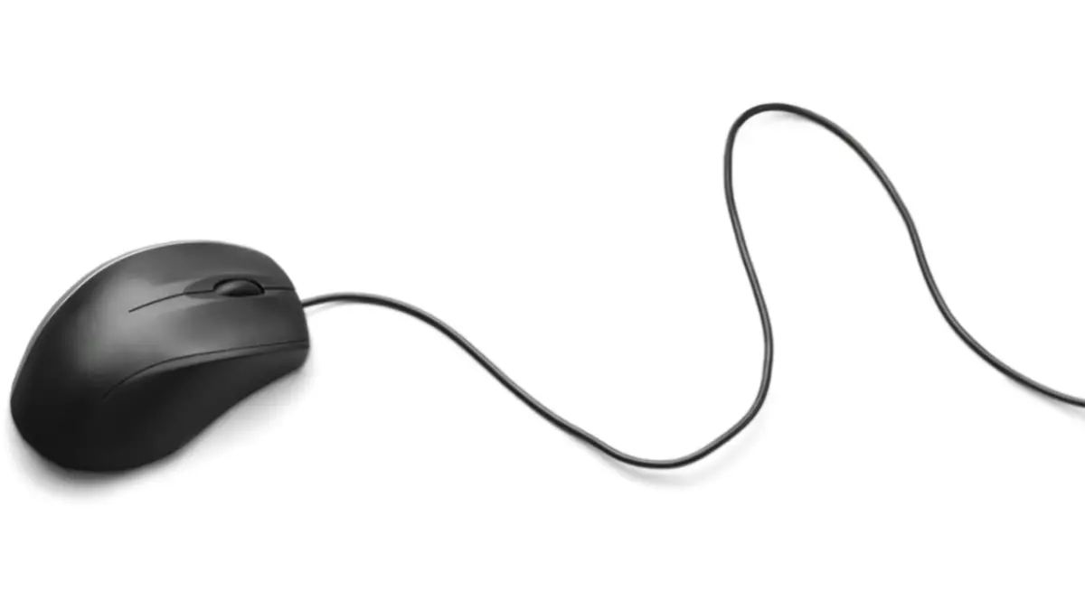 Why are Mouses Called Mouses? July 16, 2023 Keyboard Kings