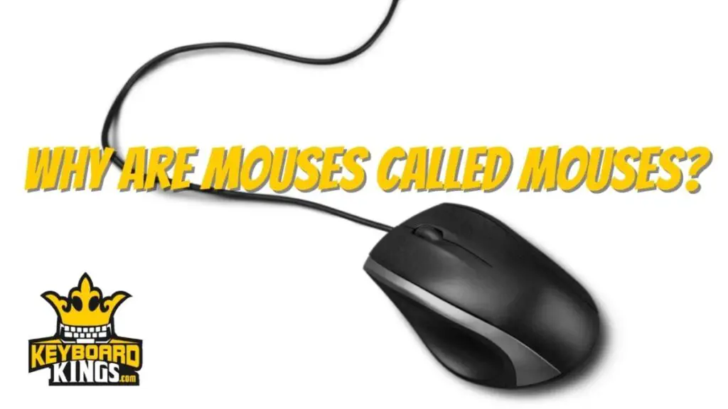 Why are Mouses Called Mouses?