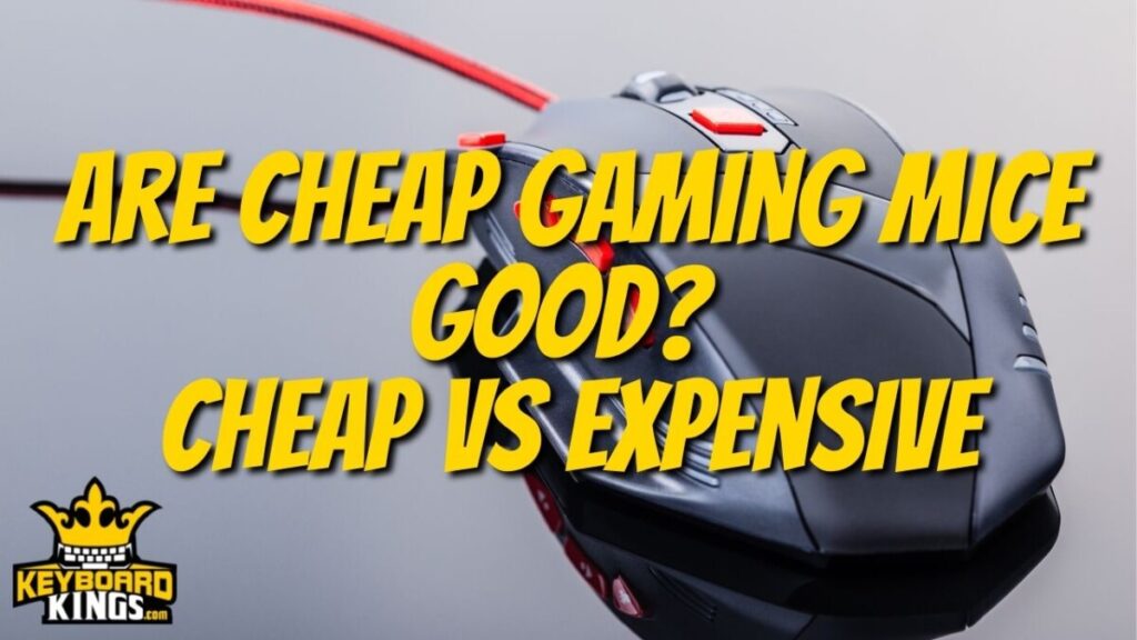 Are Cheap Gaming Mice Good? | Cheap vs Expensive