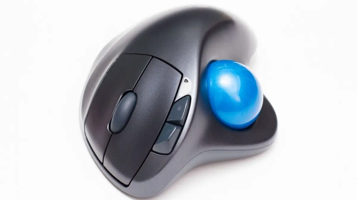 Are Cheap Gaming Mice Good? Cheap vs Expensive August 10, 2023