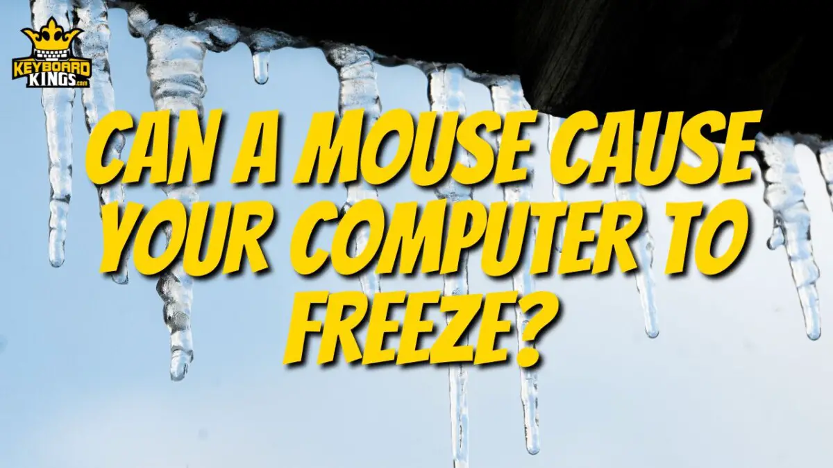 Can a Mouse Cause Your Computer to Freeze? September 20, 2023